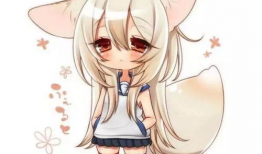 动漫 狐狸,探寻神秘狐狸族的奇幻之旅